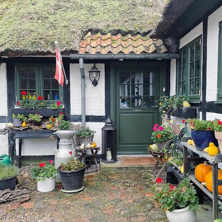 The Foresters House- Idyllic Tranquility- Non Smokers Only Store Heddinge Eksteriør billede