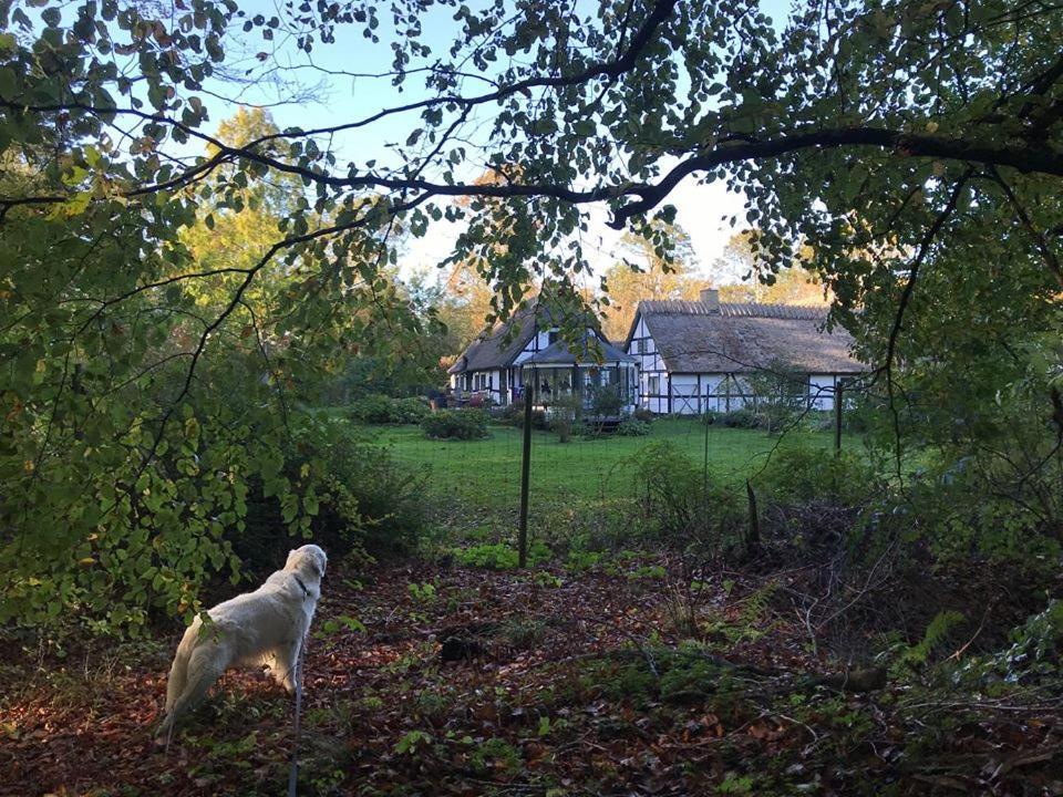 The Foresters House- Idyllic Tranquility- Non Smokers Only Store Heddinge Eksteriør billede