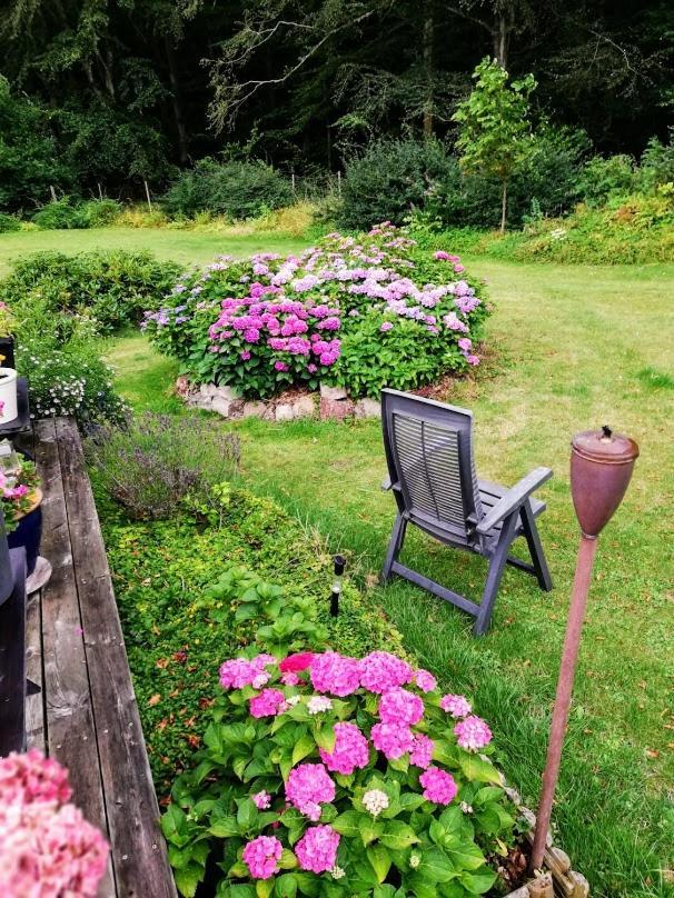 The Foresters House- Idyllic Tranquility- Non Smokers Only Store Heddinge Eksteriør billede