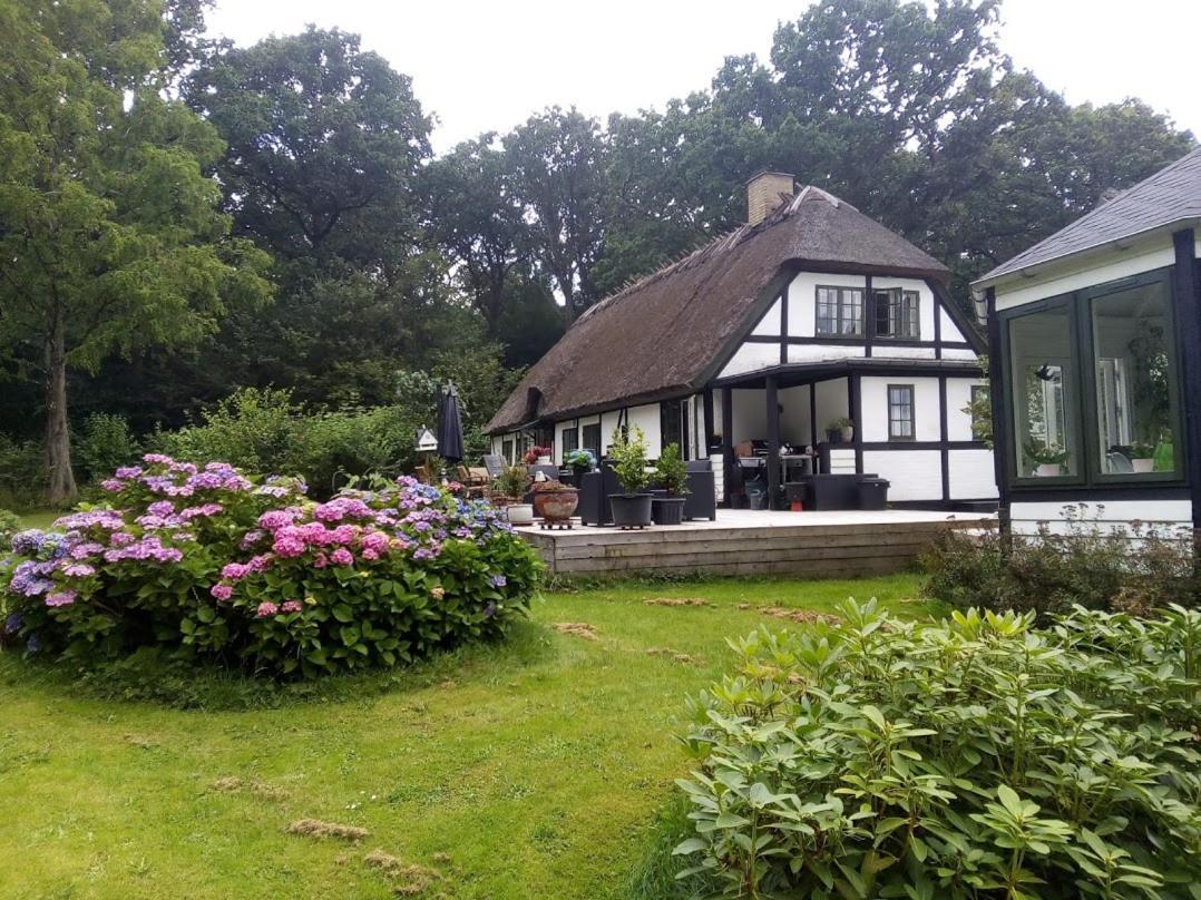The Foresters House- Idyllic Tranquility- Non Smokers Only Store Heddinge Eksteriør billede