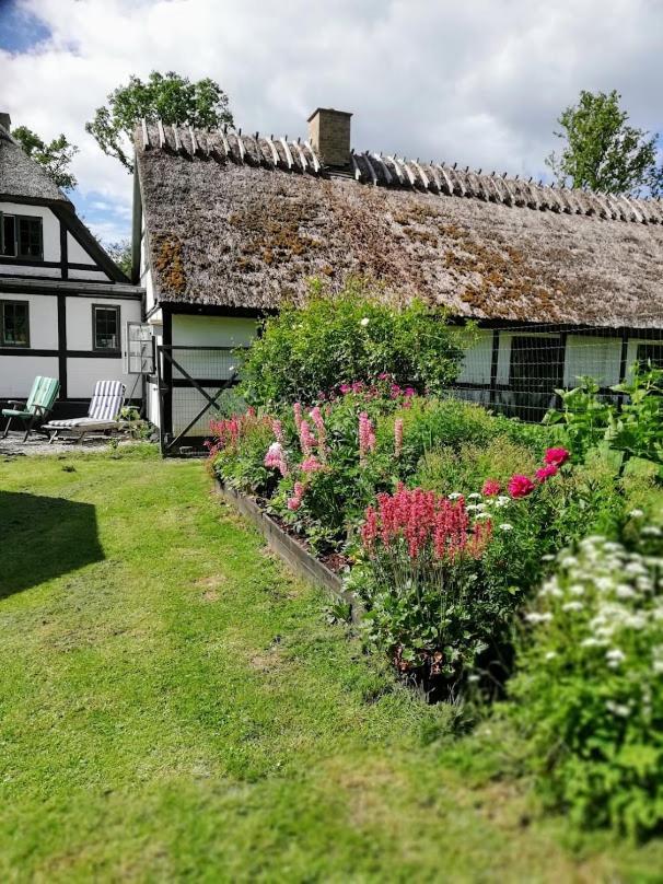 The Foresters House- Idyllic Tranquility- Non Smokers Only Store Heddinge Eksteriør billede
