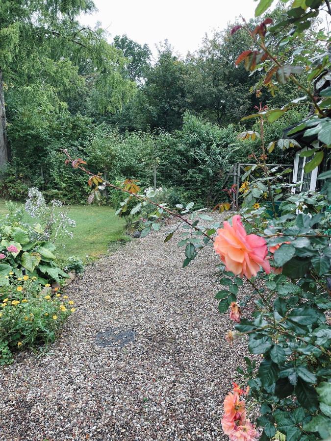 The Foresters House- Idyllic Tranquility- Non Smokers Only Store Heddinge Eksteriør billede