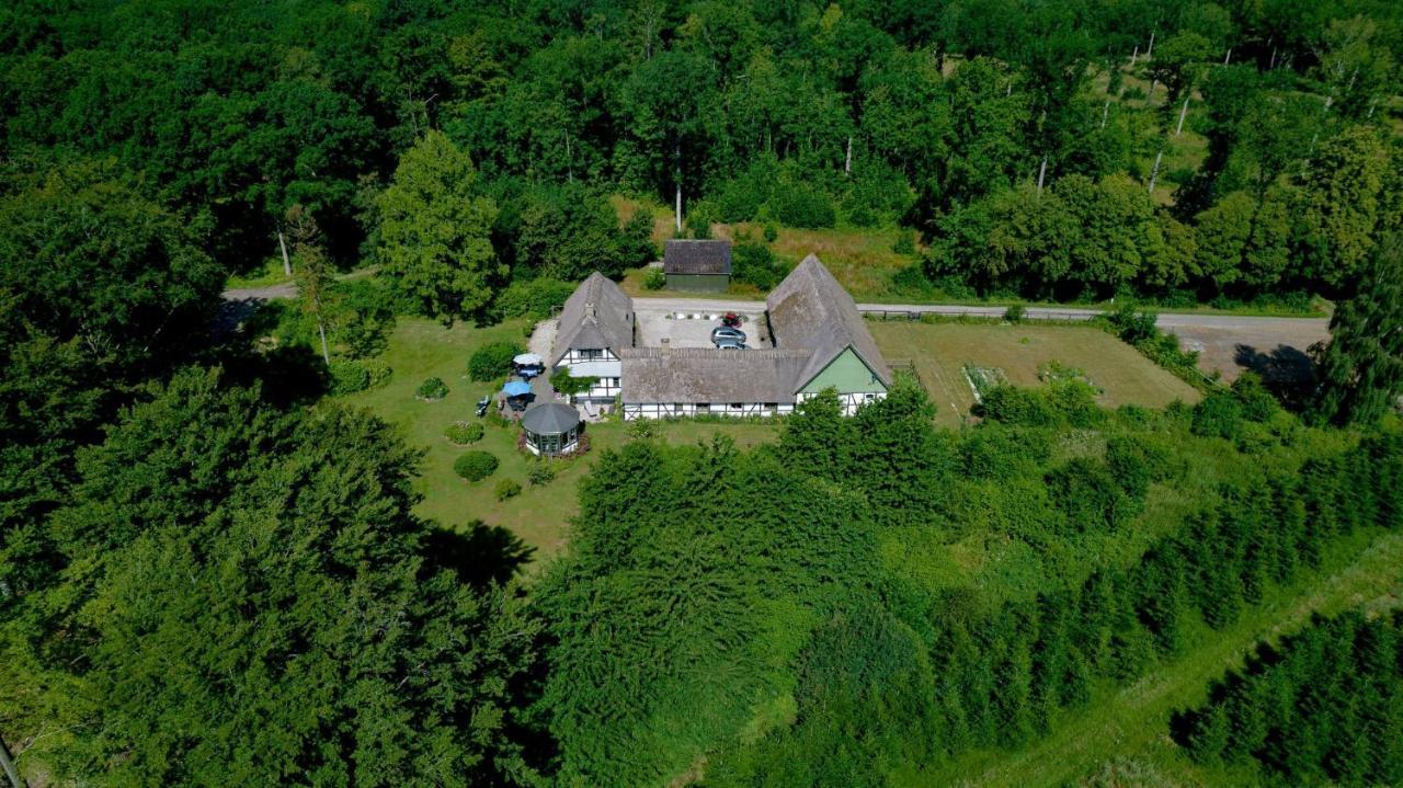 The Foresters House- Idyllic Tranquility- Non Smokers Only Store Heddinge Eksteriør billede